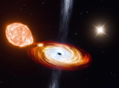 Astronomers discover black hole born quietly without supernova blast